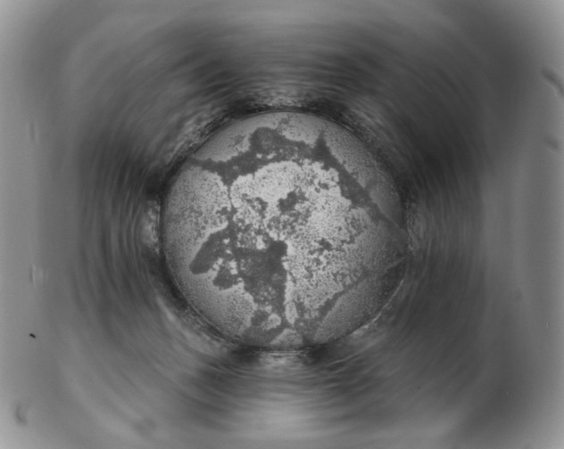 X0000102770175200809021037