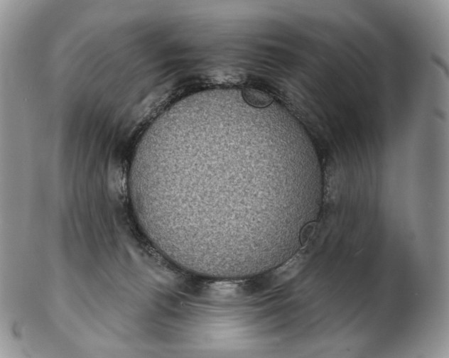 X0000102770176200809021037