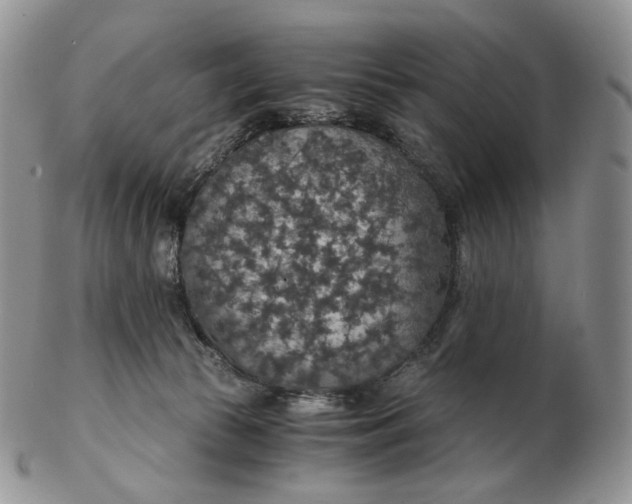 X0000102770177200809021037