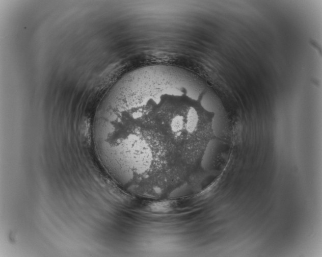 X0000102770178200809021037