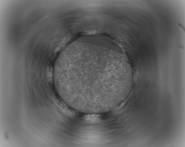 X0000102770179200809021037