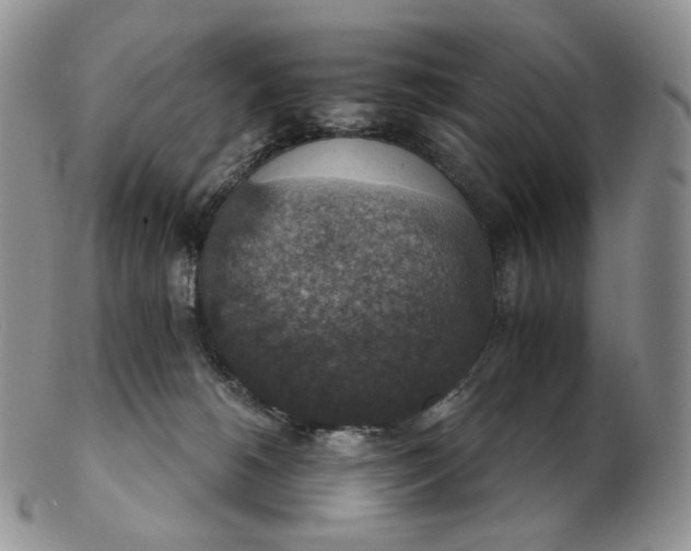 X0000102770180200809021037