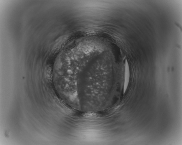 X0000102770181200809021037