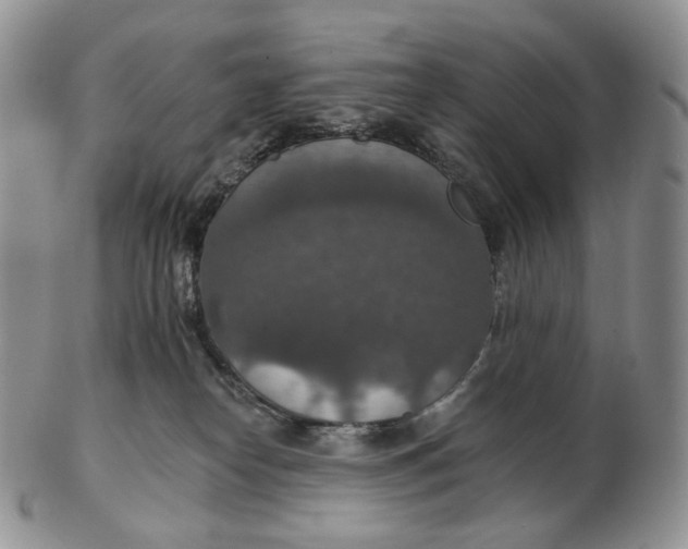 X0000102770182200809021037