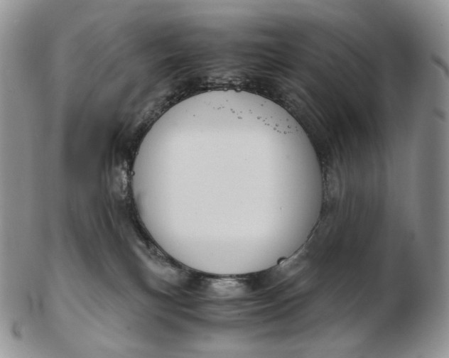 X0000102770183200809021037