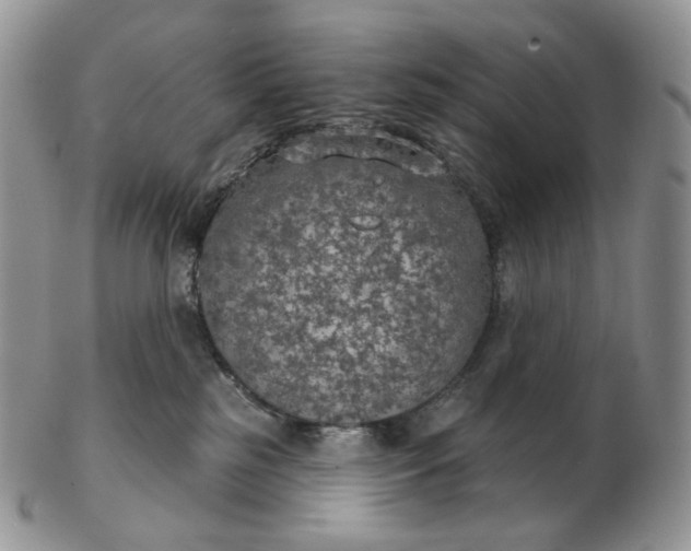 X0000102770185200809021037