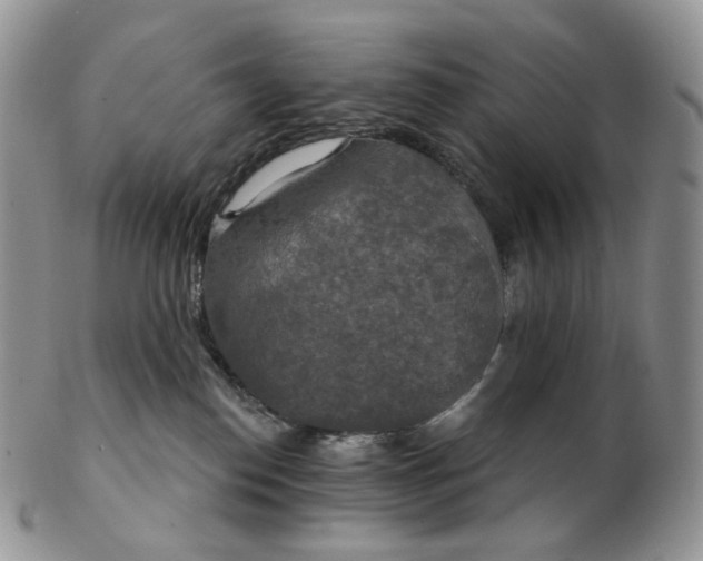 X0000102770186200809021037