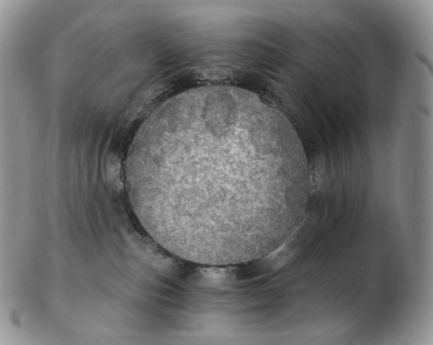 X0000102770187200809021037