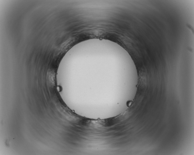 X0000102770188200809021037