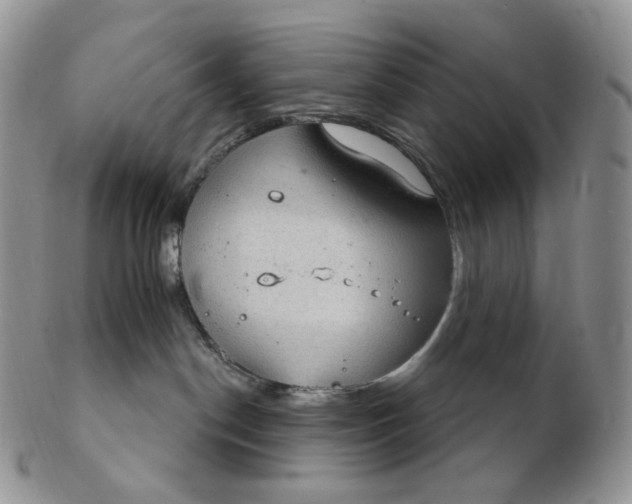 X0000102770190200809021037