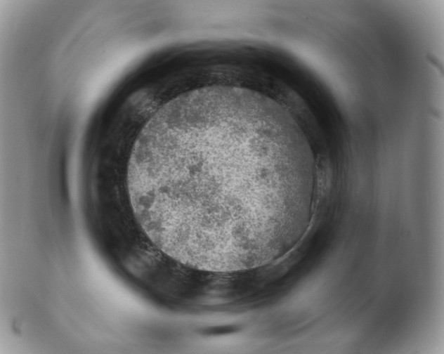 X0000102770191200809021037