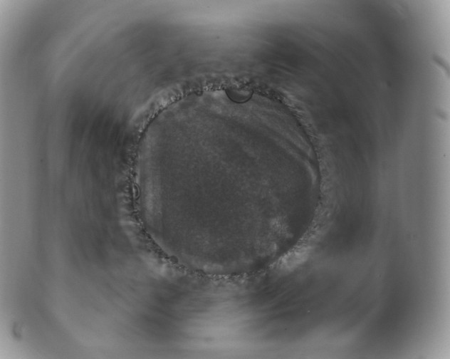 X0000102770192200809021037