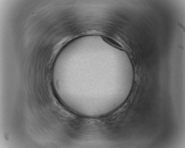 X0000102770193200809021037