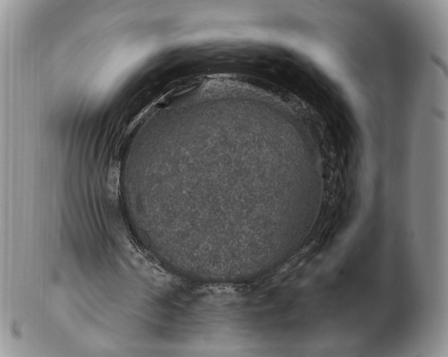 X0000102770194200809021037