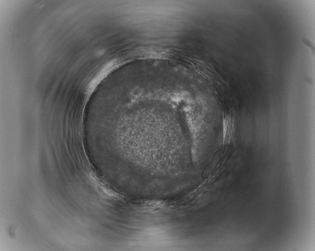 X0000102770195200809021037