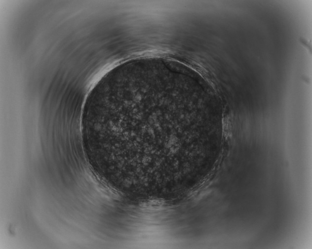 X0000102770196200809021037