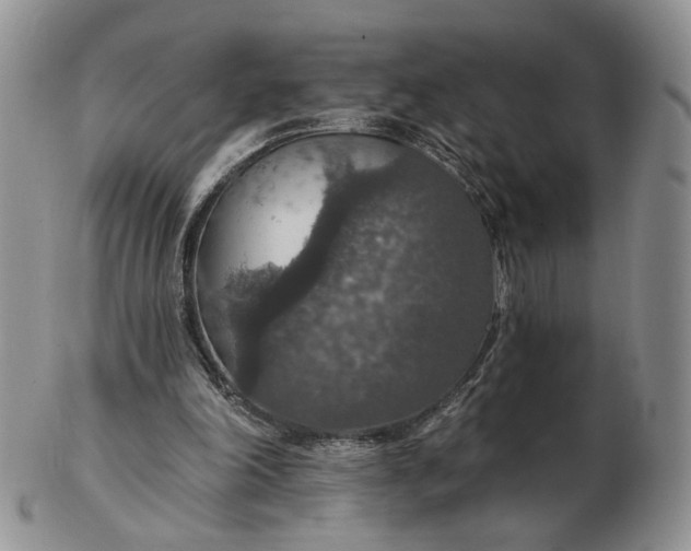 X0000102770198200809021037