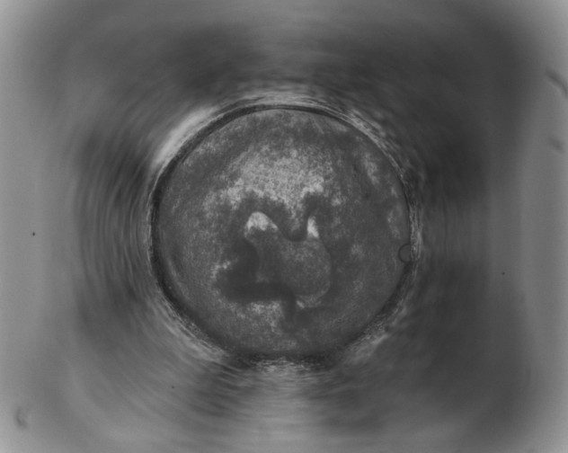 X0000102770199200809021037