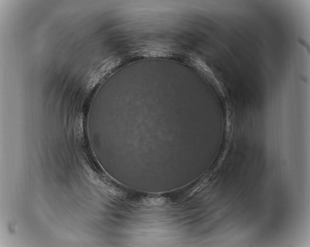 X0000102770202200809021037