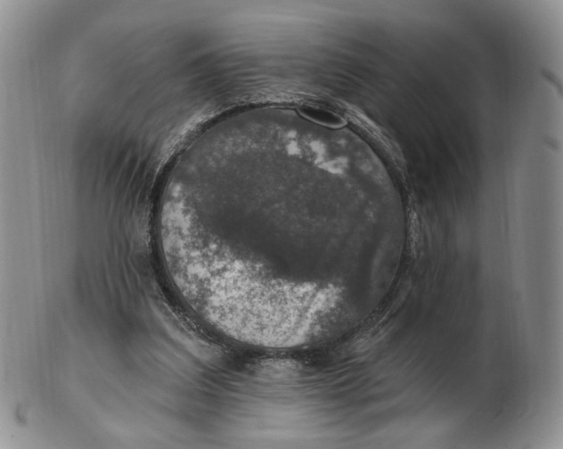 X0000102770203200809021037