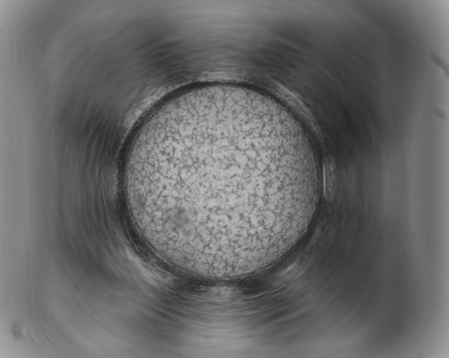 X0000102770204200809021037