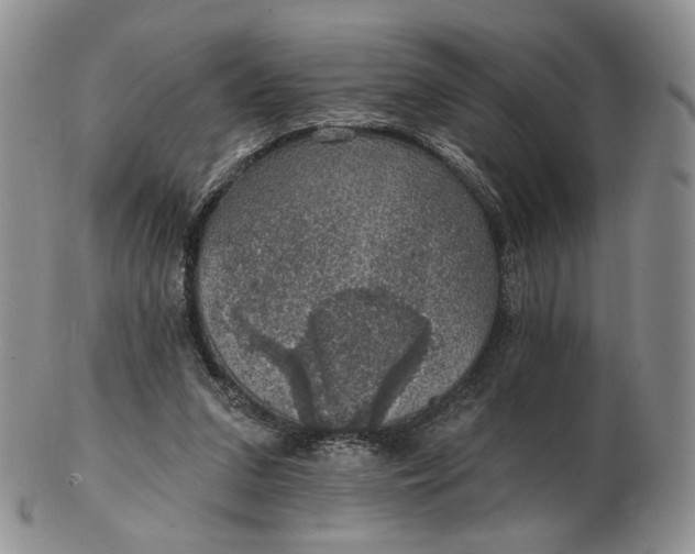 X0000102770207200809021037