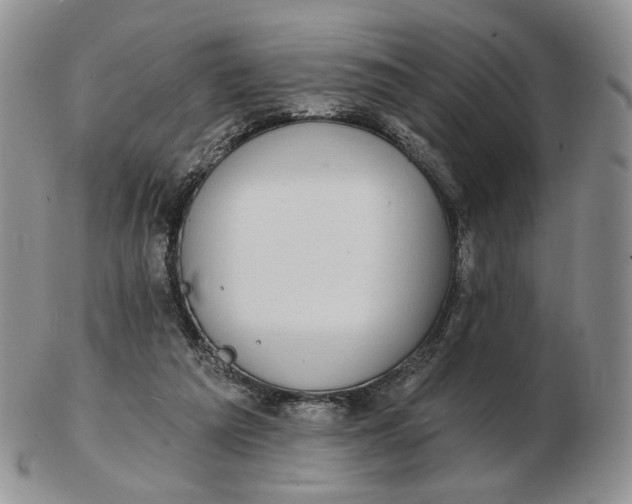 X0000102770209200809021037