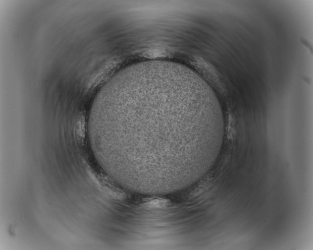 X0000102770210200809021037