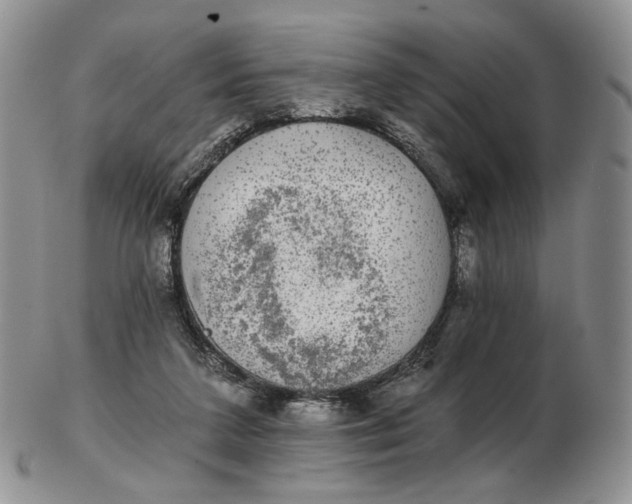 X0000102770211200809021037