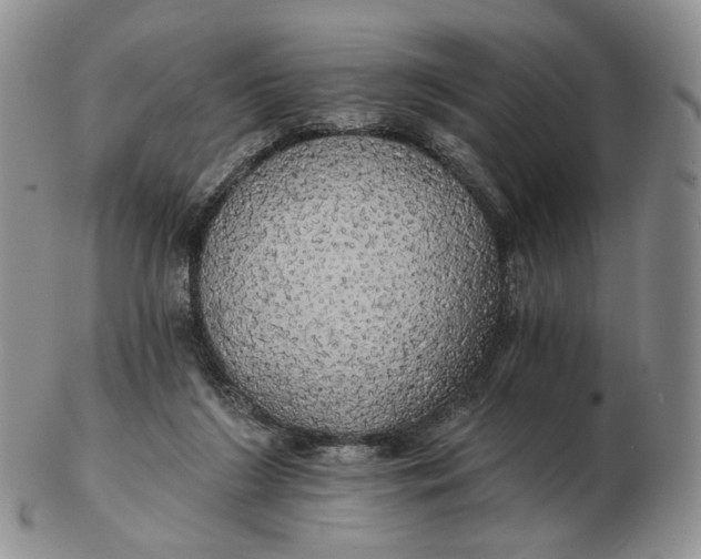 X0000102770212200809021037