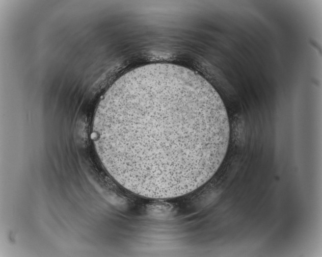 X0000102770215200809021036