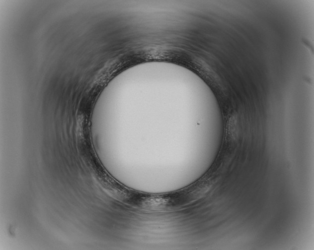 X0000102770217200809021036