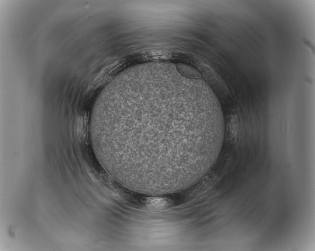 X0000102770218200809021036