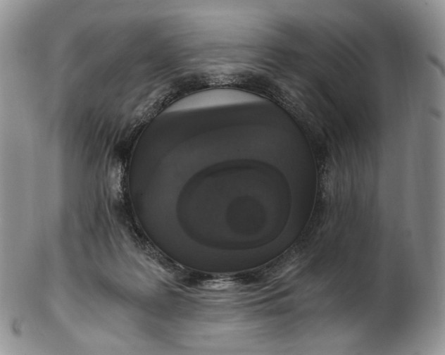 X0000102770219200809021036