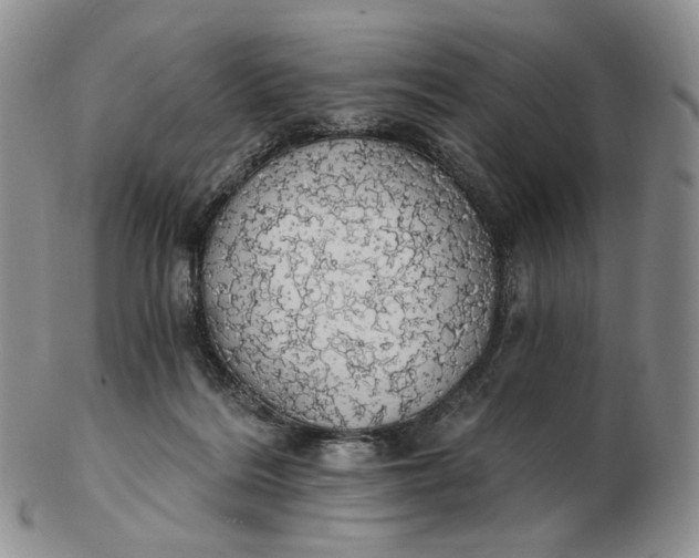 X0000102770220200809021036