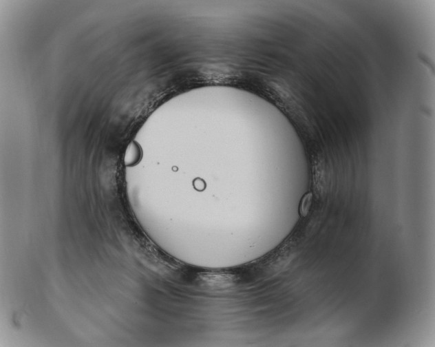 X0000102770221200809021036