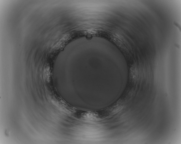 X0000102770223200809021036