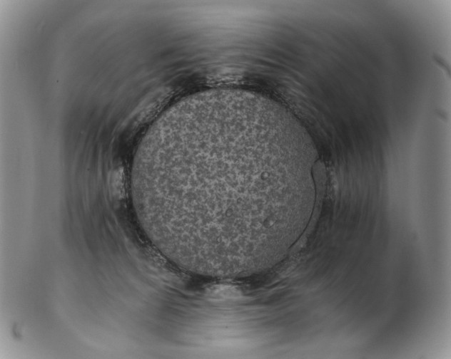 X0000102770224200809021036