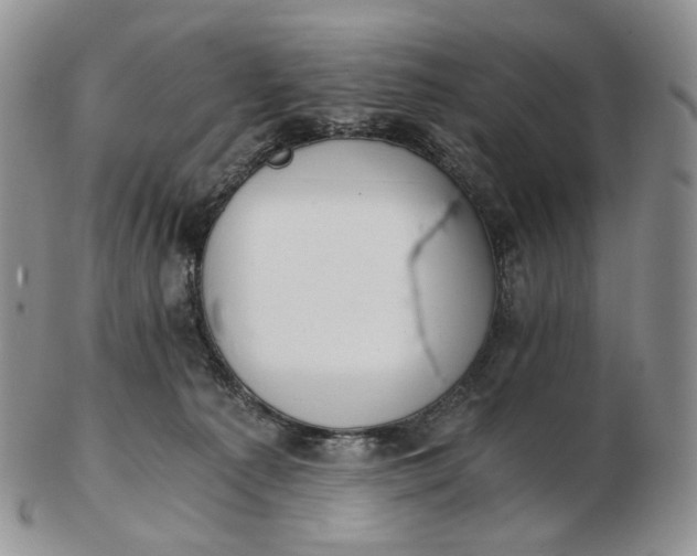 X0000102770225200809021036