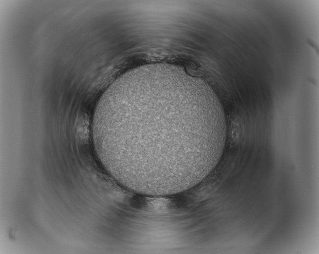 X0000102770226200809021036