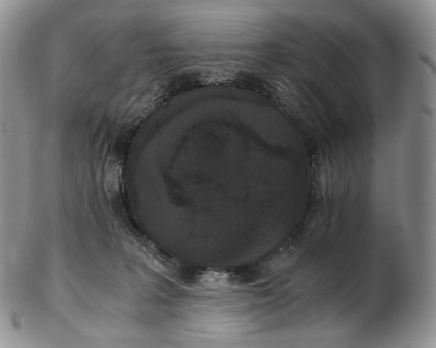 X0000102770227200809021036