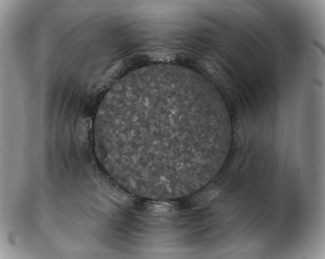 X0000102770229200809021036