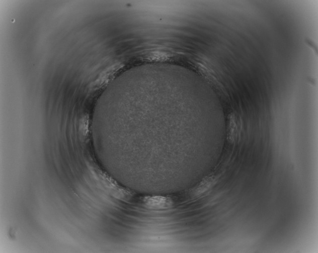 X0000102770230200809021036