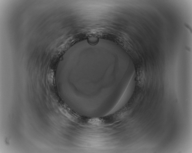 X0000102770231200809021036