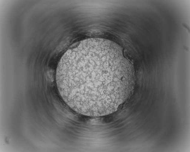 X0000102770232200809021036