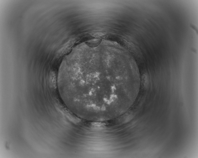 X0000102770234200809021036