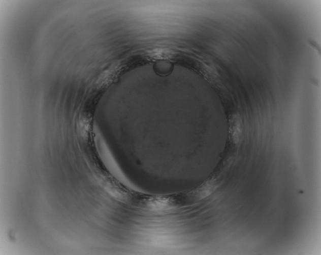 X0000102770235200809021036