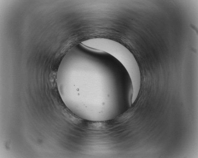 X0000102770237200809021036