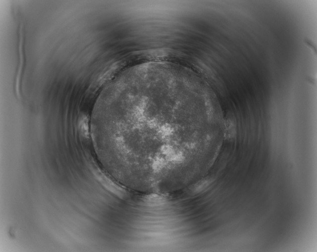 X0000102770238200809021036