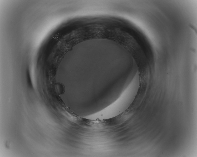 X0000102770239200809021036